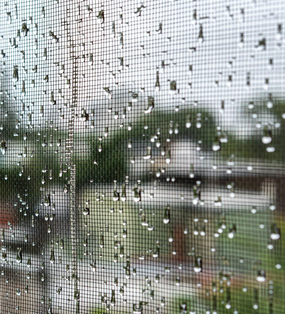 closeup of the fresh clean rain droplets on the window screen e1722585048337